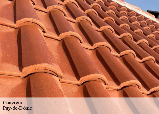 Couvreur 63 Puy-de-Dôme Dorkeld Couverture